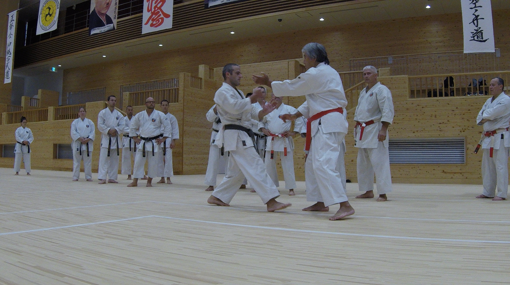 karate, Piaseczyński klub karate, Shorin-Ryu, treningi, obozy sportowe